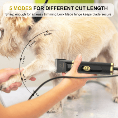 Dog sales hair clippers